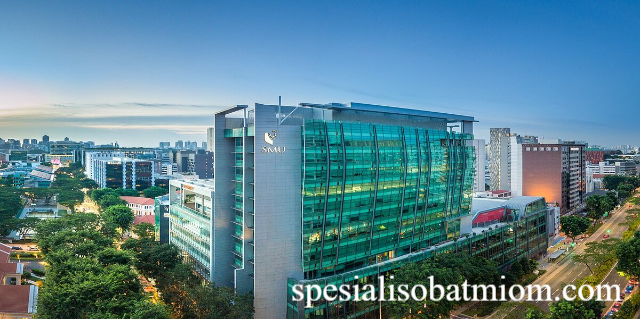 Universitas Mega Rezky: Kampus Swasta yang Terus Berkembang